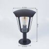 Venneshamm Sockelleuchte Schwarz, Transparent, Klar, 1-flammig