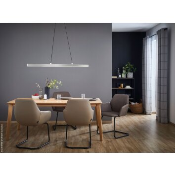 SCHÖNER WOHNEN-Kollektion Pendelleuchte Stripe LED Aluminium, 1-flammig