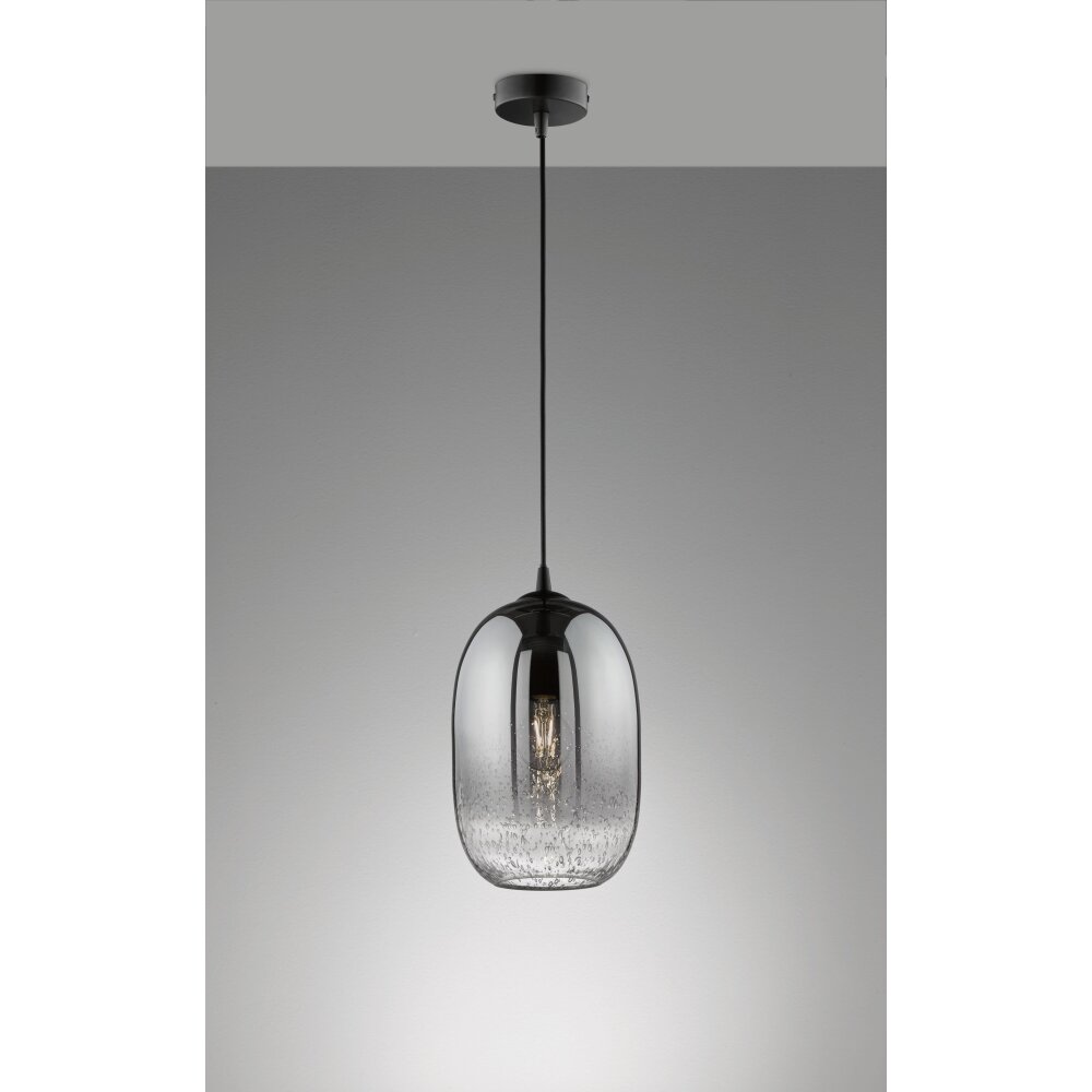 Fischer & Honsel Trace Pendelleuchte Schwarz, 1-flammig main product photo