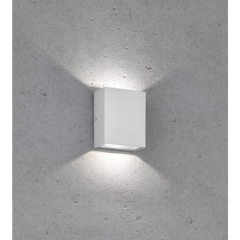 Fischer & Honsel Denver Außenwandleuchte LED Silber, 2-flammig main product photo