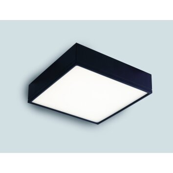 Luce Design Klio Deckenleuchte LED Schwarz, 1-flammig