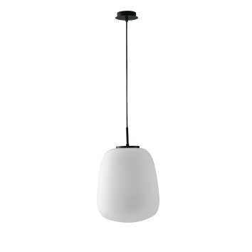 Luce Design Tolomeo Pendelleuchte Schwarz, 1-flammig