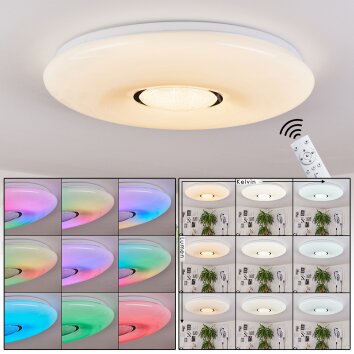 Page Deckenleuchte LED, 2-flammig, Fernbedienung, Farbwechsler