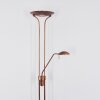 Heuru Deckenfluter LED Bronze, 2-flammig
