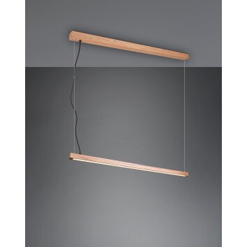 Trio Leuchten Bellari Pendelleuchte LED Braun, 1-flammig