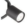 Fischer & Honsel Vano Deckenleuchte Schwarz, 3-flammig