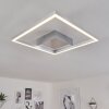 Buren Deckenleuchte LED Nickel-Matt, 1-flammig