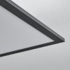 Salmi Deckenpanel LED Schwarz, Weiß, 2-flammig