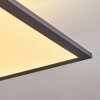 Salmi Deckenpanel LED Schwarz, Weiß, 2-flammig