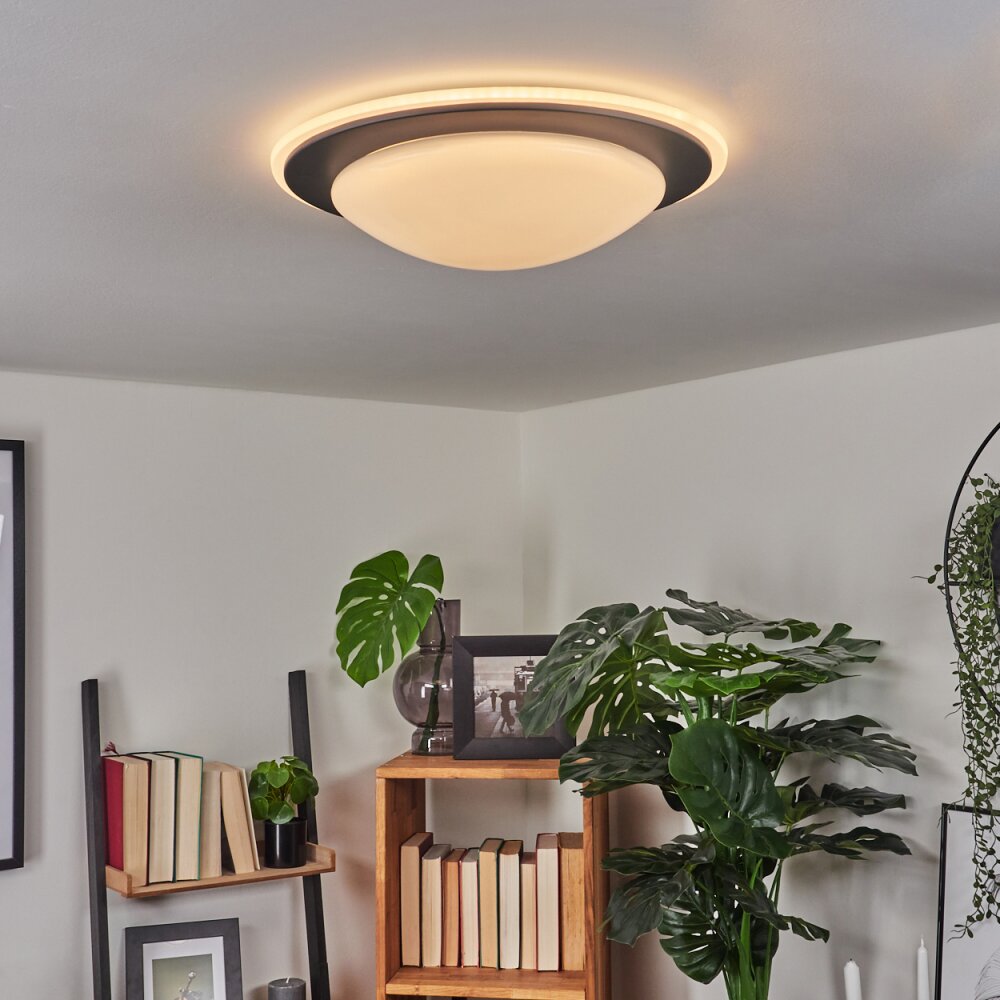 Wil Deckenleuchte LED Anthrazit, Weiß, 1-flammig main product photo