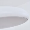 Rhone Hängeleuchte LED Weiß, 1-flammig, Farbwechsler
