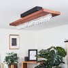 Versoix Deckenleuchte LED Schwarz, 1-flammig