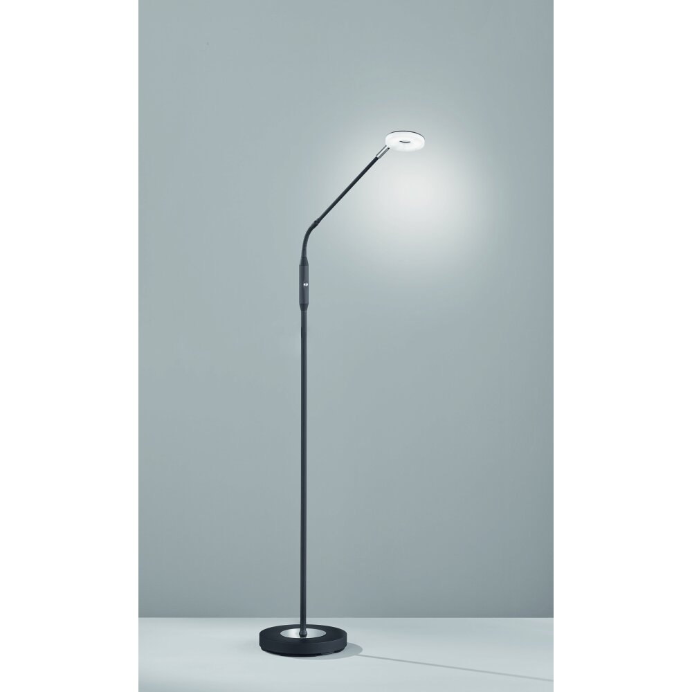 Fischer & Honsel Dent Stehleuchte LED Schwarz, 1-flammig main product photo