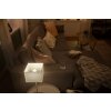 Philips Hue White 2er Set LED E14 5,7 Watt 2700 Kelvin 470 Lumen