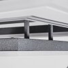 Kolo  Deckenleuchte LED Schwarz, Weiß, 1-flammig