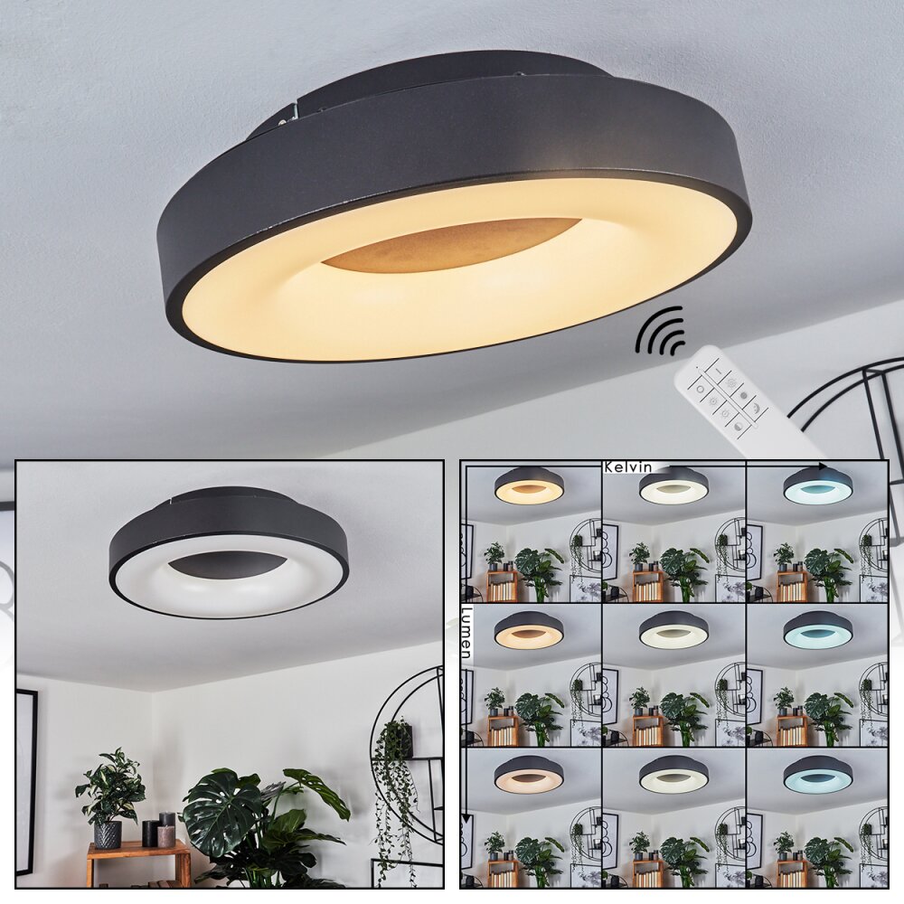 Sachseln Deckenleuchte LED Schwarz, 1-flammig main product photo