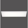 Paul Neuhaus FRAMELESS LED Panel Weiß, 1-flammig, Fernbedienung, Farbwechsler