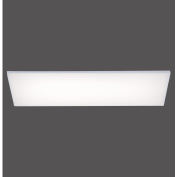 Paul Neuhaus FRAMELESS LED Panel Weiß, 1-flammig, Fernbedienung, Farbwechsler