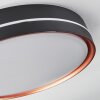 Cachalot Deckenleuchte LED Kupferfarben, Schwarz, 1-flammig, Fernbedienung, Farbwechsler