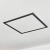 Wilderswil Deckenpanel LED Weiß, 1-flammig