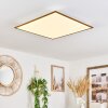Barasat Deckenpanel LED Weiß, 1-flammig