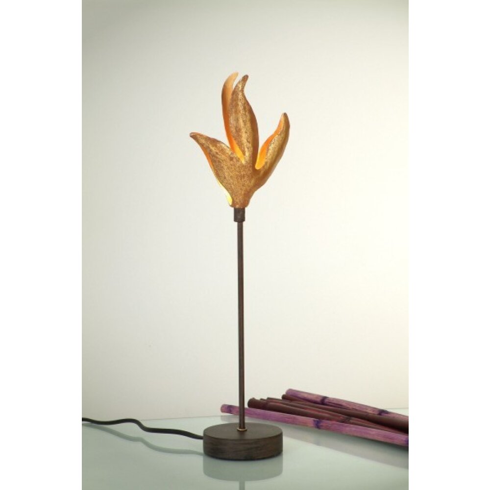 Holländer PICCOLA PELICANO Tischleuchte Braun, Gold, 1-flammig main product photo
