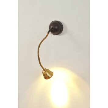 Holländer SNAIL TWO Wandleuchte Braun, Gold, Schwarz, 1-flammig