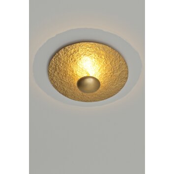 Holländer POLPETTA Deckenleuchte LED Gold, 2-flammig