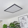 Barasat              Deckenpanel LED Schwarz, Weiß, 2-flammig