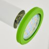 Cabri Wandleuchte LED Chrom, Grün, Weiß, 1-flammig