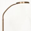 Steinhauer Platu Stehleuchte LED Bronze, 1-flammig