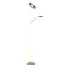 Lucide ZENITH Deckenfluter LED Gold, Messing, 1-flammig