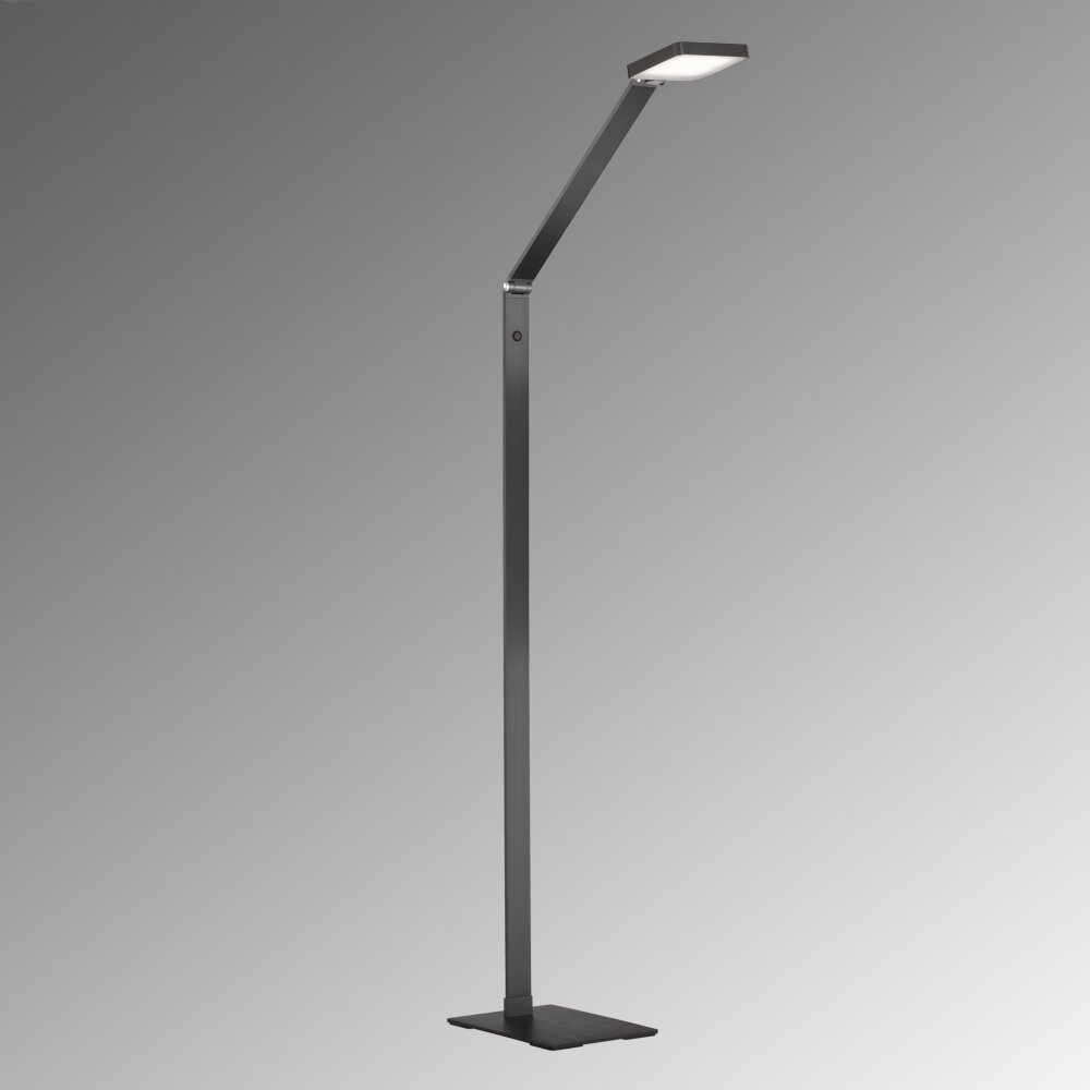 Fischer & Honsel Rike Stehleuchte LED Schwarz, 1-flammig main product photo