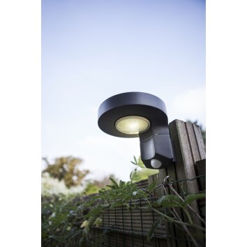 Lutec Lampen DISO Außenwandleuchte LED Anthrazit, 1-flammig, Bewegungsmelder