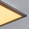 Ringuelet Deckenpanel LED Schwarz, Weiß, 1-flammig, Fernbedienung