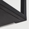 Ranquile Pendelleuchte LED Schwarz, 4-flammig