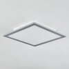 Wilderswil  Deckenleuchte LED Weiß, 1-flammig