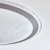 Gorgonta Deckenpanel LED Weiß, 2-flammig, Fernbedienung, Farbwechsler