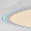 Telsen              Deckenpanel LED Weiß, 2-flammig, Fernbedienung, Farbwechsler