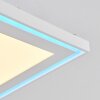 Telsen Deckenpanel LED Weiß, 2-flammig, Fernbedienung, Farbwechsler