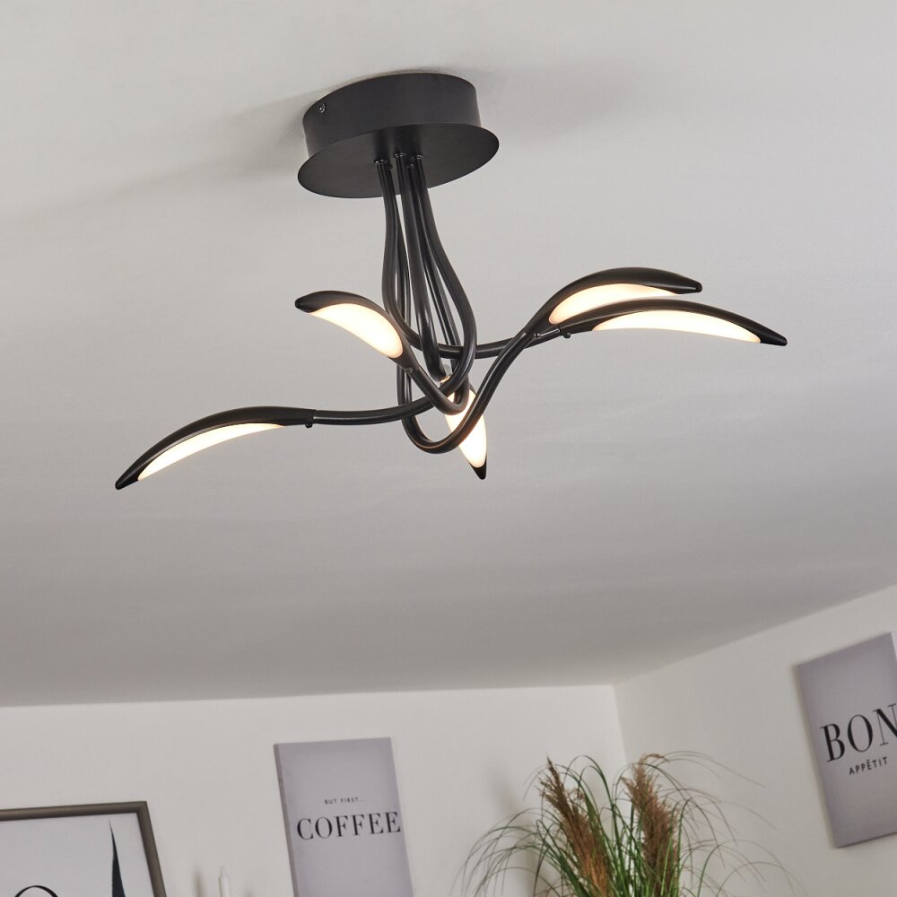 Oetling Deckenleuchte LED Schwarz, 1-flammig main product photo