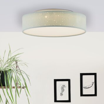 Brilliant Leuchten Baska Deckenleuchte LED Silber, 1-flammig