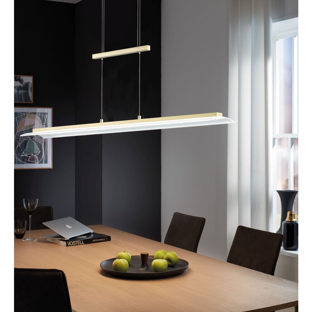 Fischer & Honsel Roof Pendelleuchte LED Messing, 1-flammig main product photo