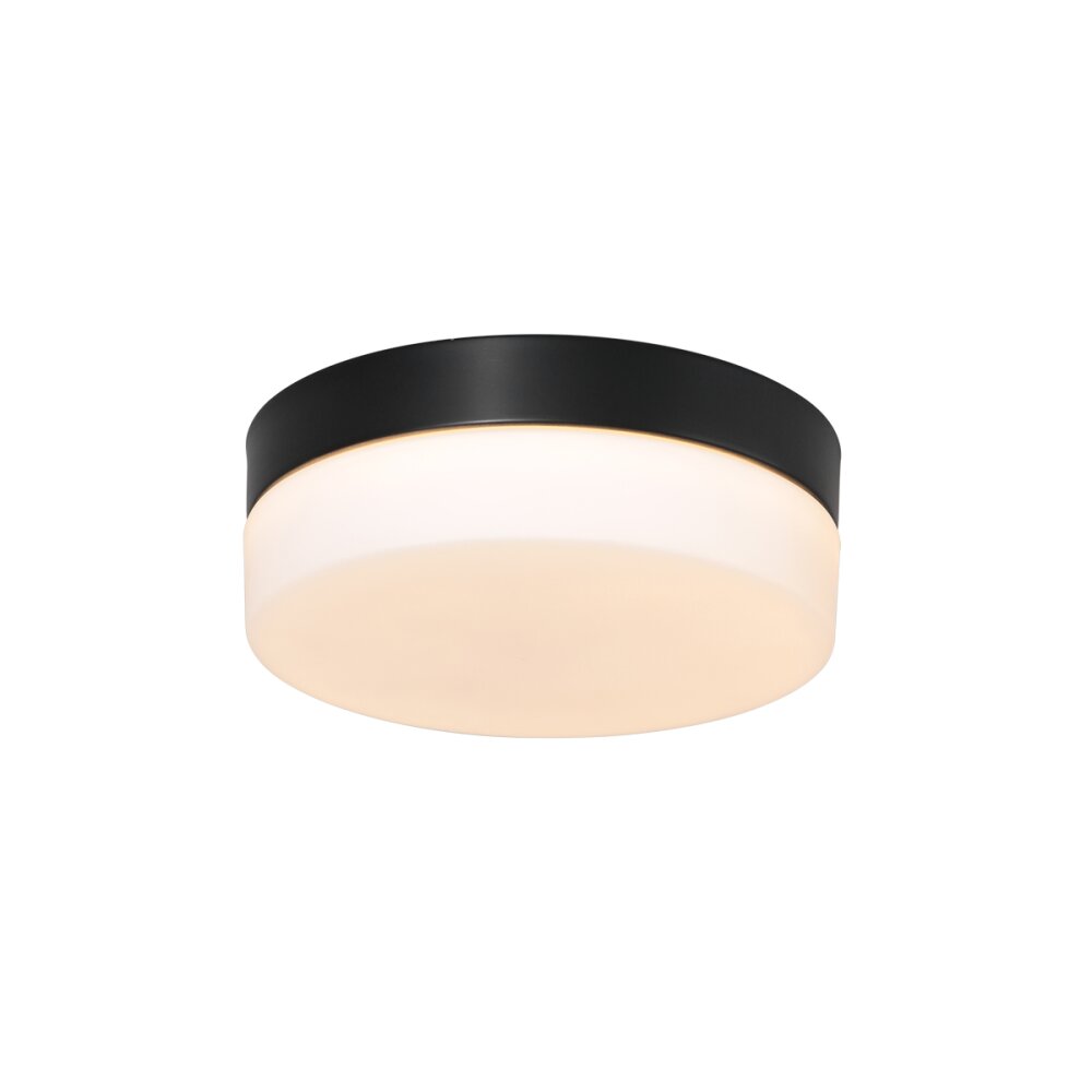 Steinhauer Ikaro Deckenleuchte LED Schwarz, 1-flammig main product photo