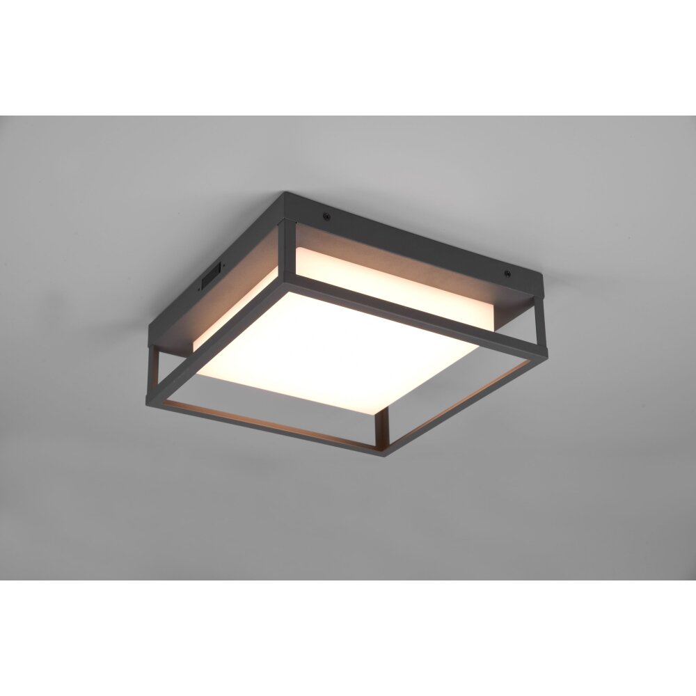 Trio Leuchten Witham Deckenleuchte LED Anthrazit, 1-flammig main product photo