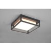 Trio Leuchten Witham Deckenleuchte LED Anthrazit, 1-flammig