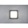 Trio Leuchten Witham Deckenleuchte LED Anthrazit, 1-flammig