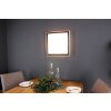 Luce Design SOLSTAR Wandleuchte LED Naturfarben, Schwarz, 1-flammig