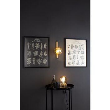 Luce Design PLUTO Wandleuchte Gold, 1-flammig