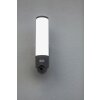 Lutec Lampen ELARA Außenwandleuchte LED Anthrazit, 1-flammig, Bewegungsmelder